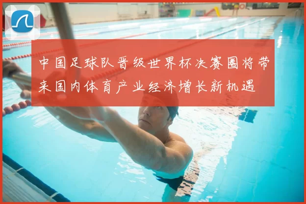 中国足球队晋级世界杯决赛圈将带来国内体育产业经济增长新机遇