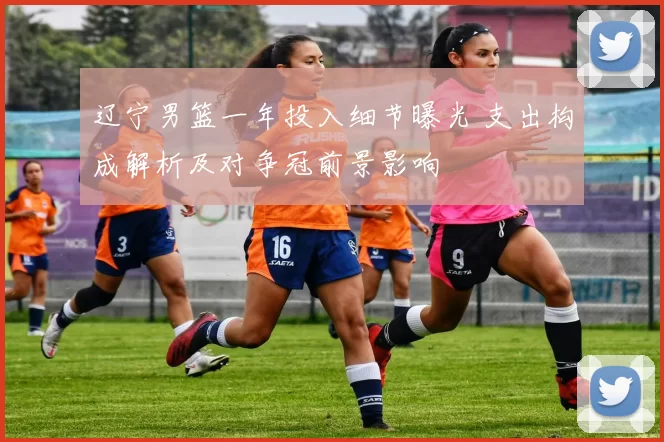 辽宁男篮一年投入细节曝光 支出构成解析及对争冠前景影响