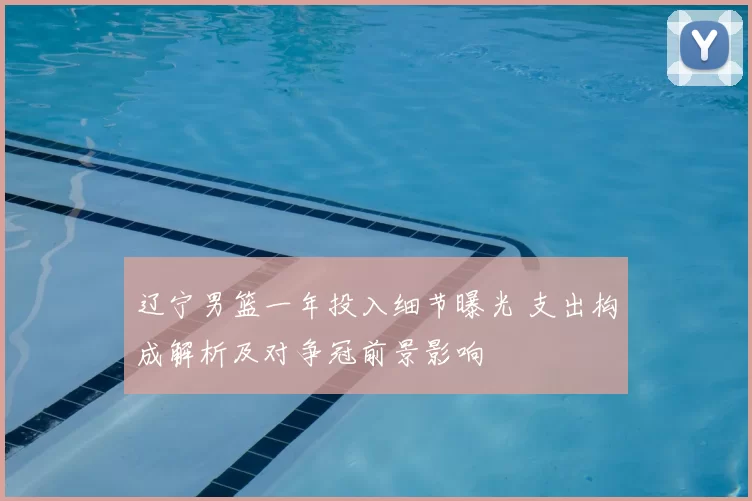 辽宁男篮一年投入细节曝光 支出构成解析及对争冠前景影响